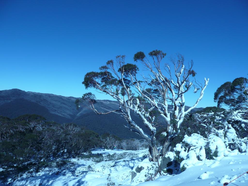 Chill-Out - Thredbo Villa Room photo
